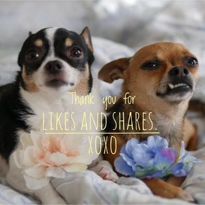 Thank you everyone!!! 